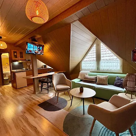 Stayhappy Apartment Ziar